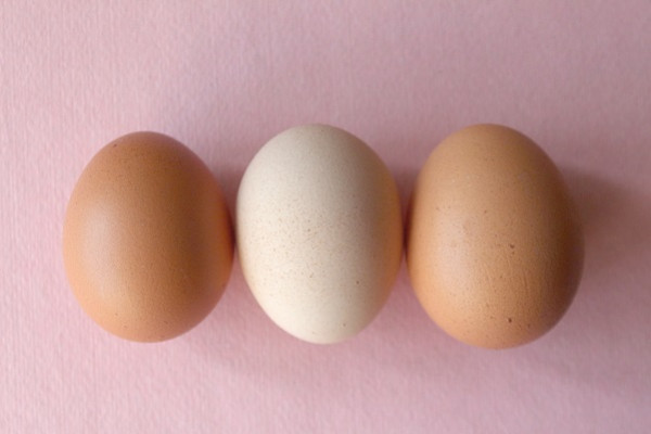 ¿Qué beneficios aporta la clara de huevo a la piel? 